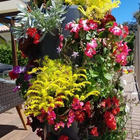 Poisson Rouge Bonifacio (Corsica)