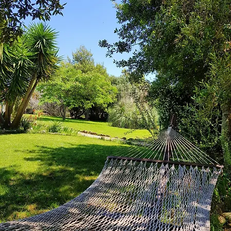 Poisson Rouge Hotell 3*