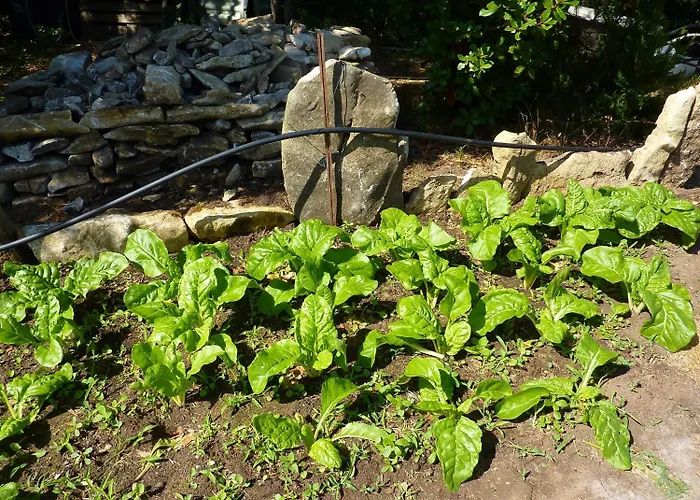 Poisson Rouge Hotel Bonifacio (Corsica)