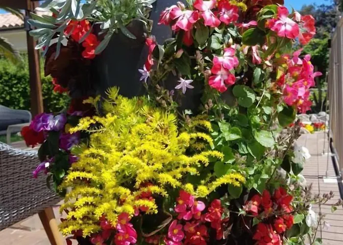 Poisson Rouge Bonifacio (Corsica)