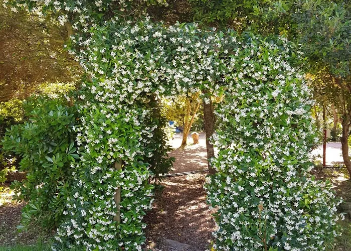 Hotel Poisson Rouge 3*